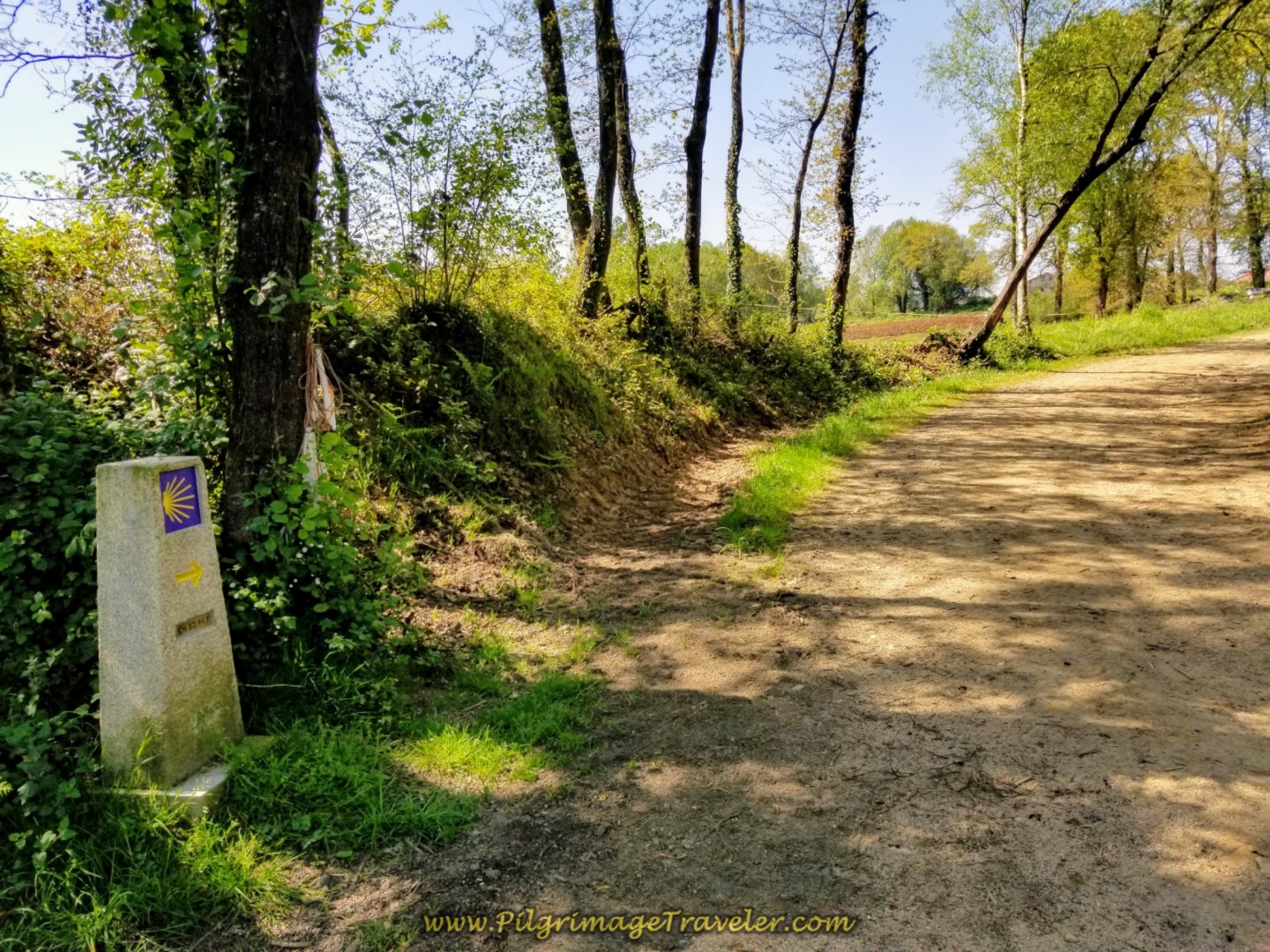 Right Turn at 22.93 Kilometer Marker on day seven of the English Way