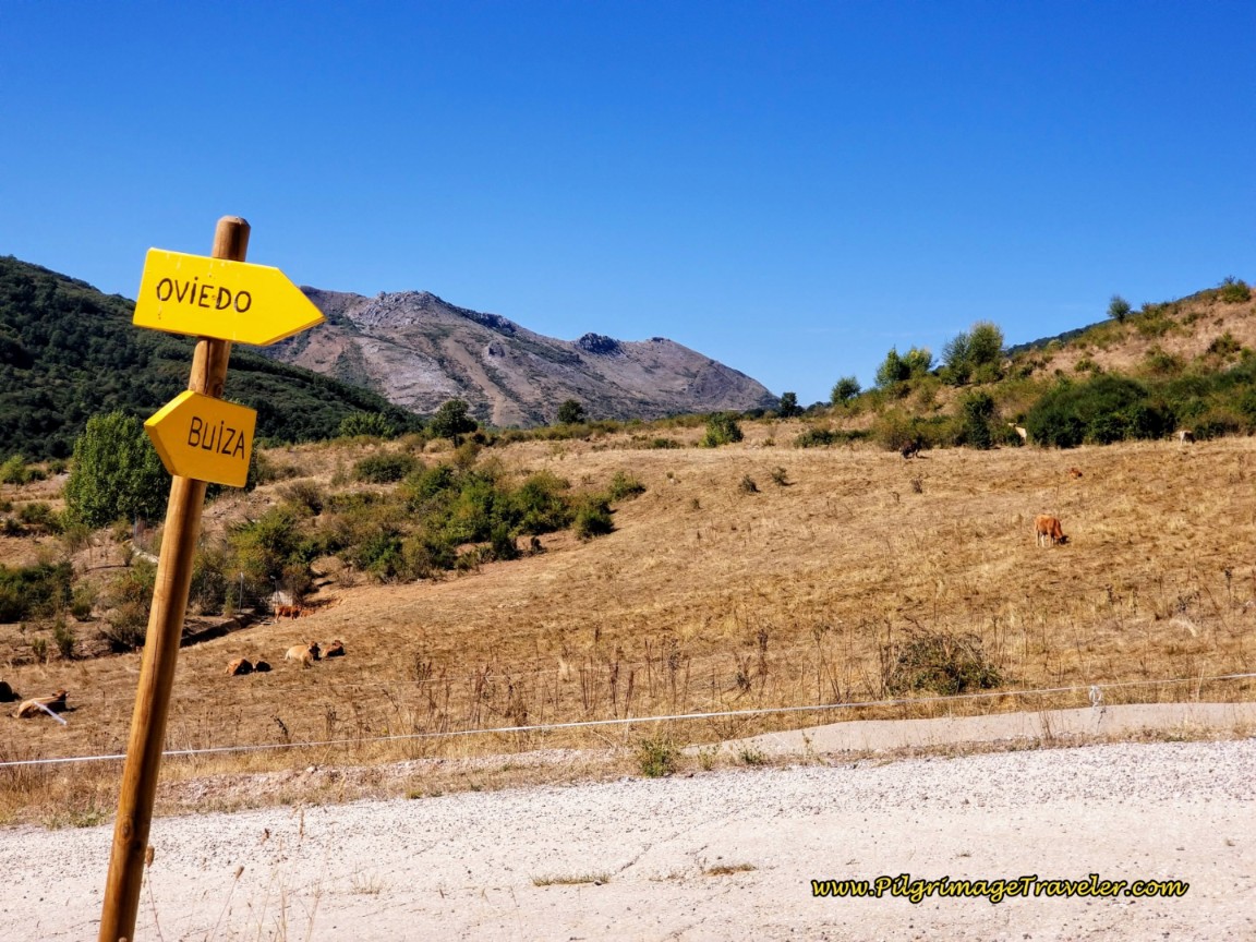 Right Turn to Oviedo