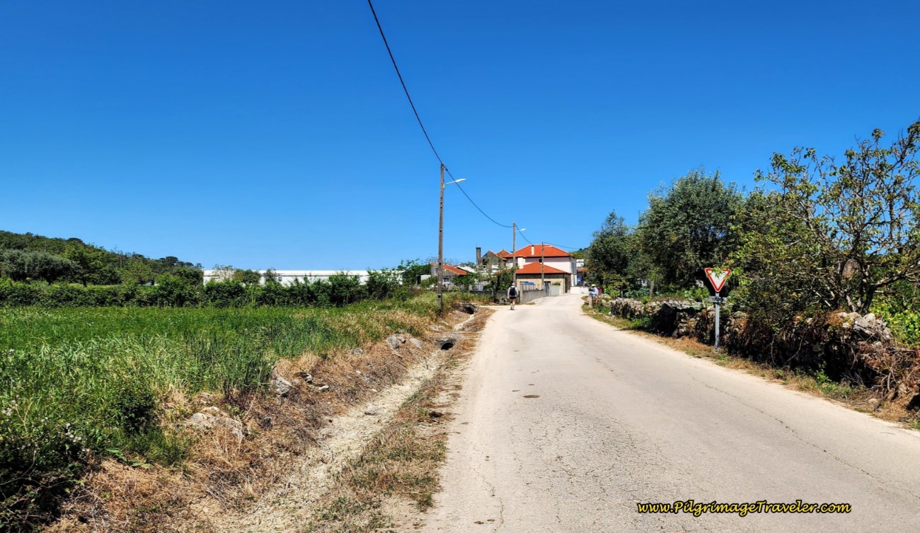 Short Walk on Quiet Pavement Towards Junqueira