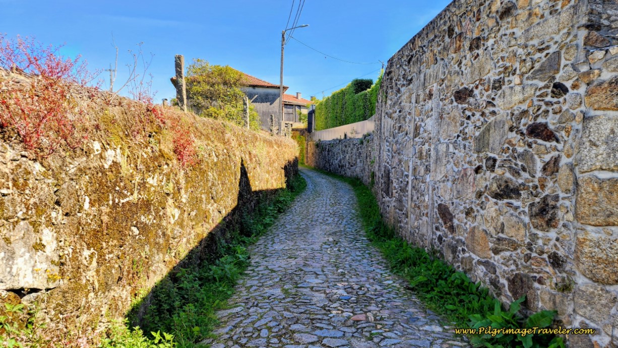 Turn Left on Interesting Rua da Sardoeira