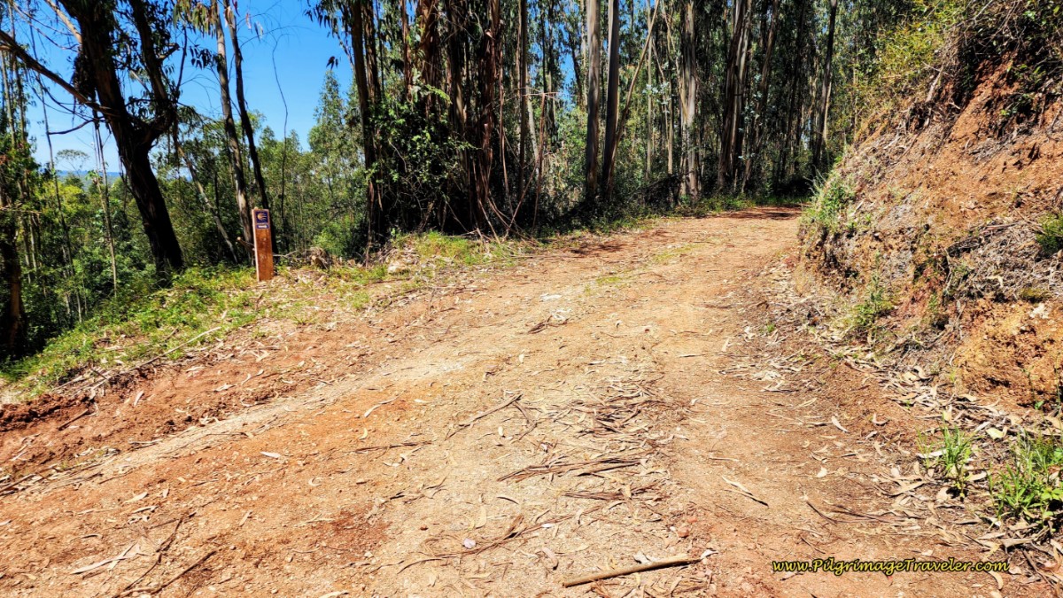Intersection Where the Two Routes Meet