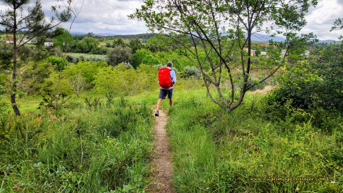 Lane Reduces to a Path