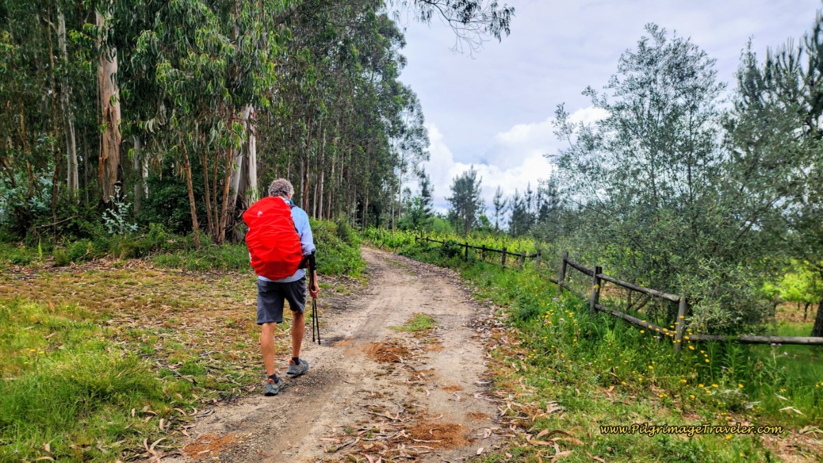 Join Another Wider Lane