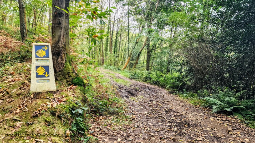 Concrete Waymark at the Decision Point