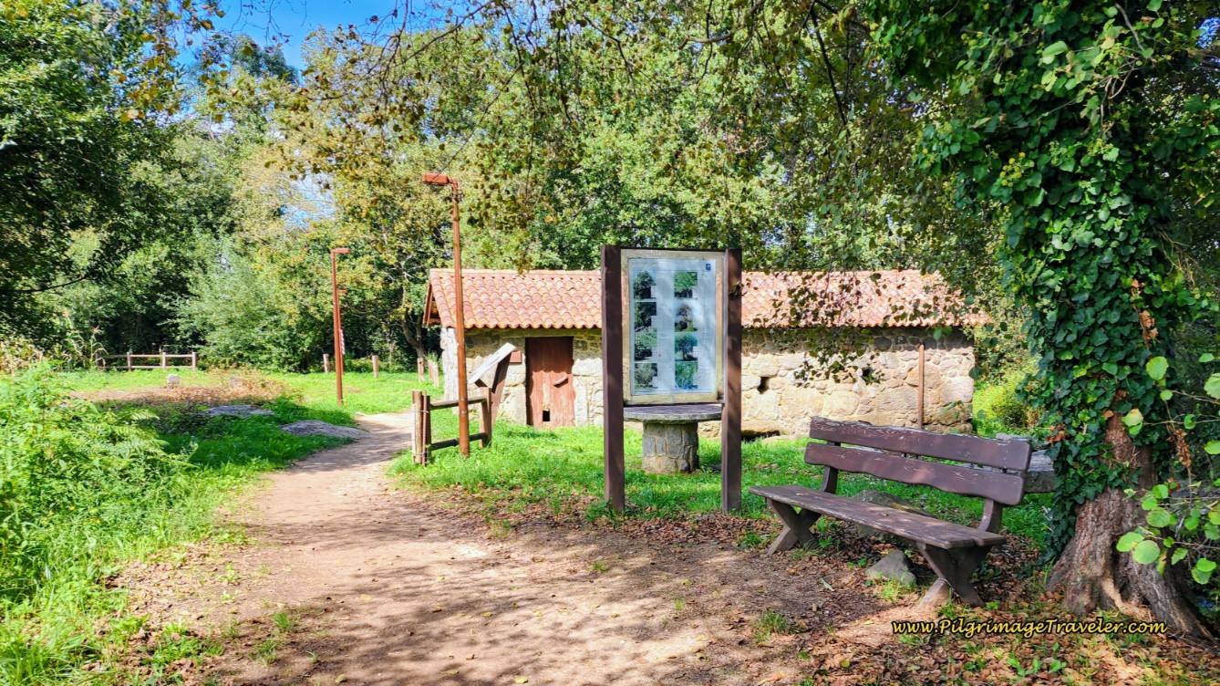 Along the Ruta Dos Muiños de Barrantes