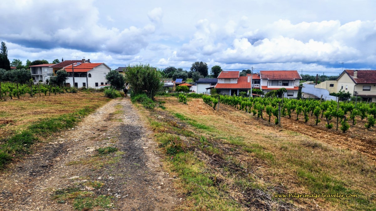 Approaching Outskirts of Mealhada