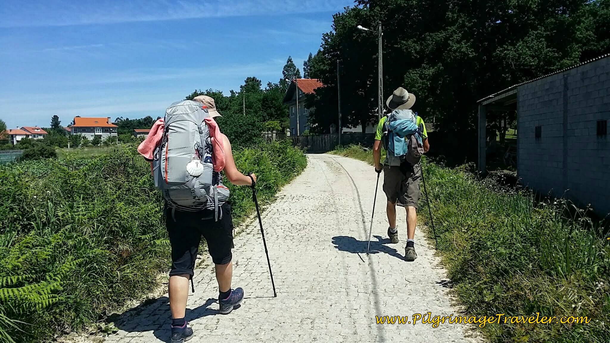 Cobblestone Path on the Way Towards Milladoiro on Day Twenty-Four, Portuguese Camino