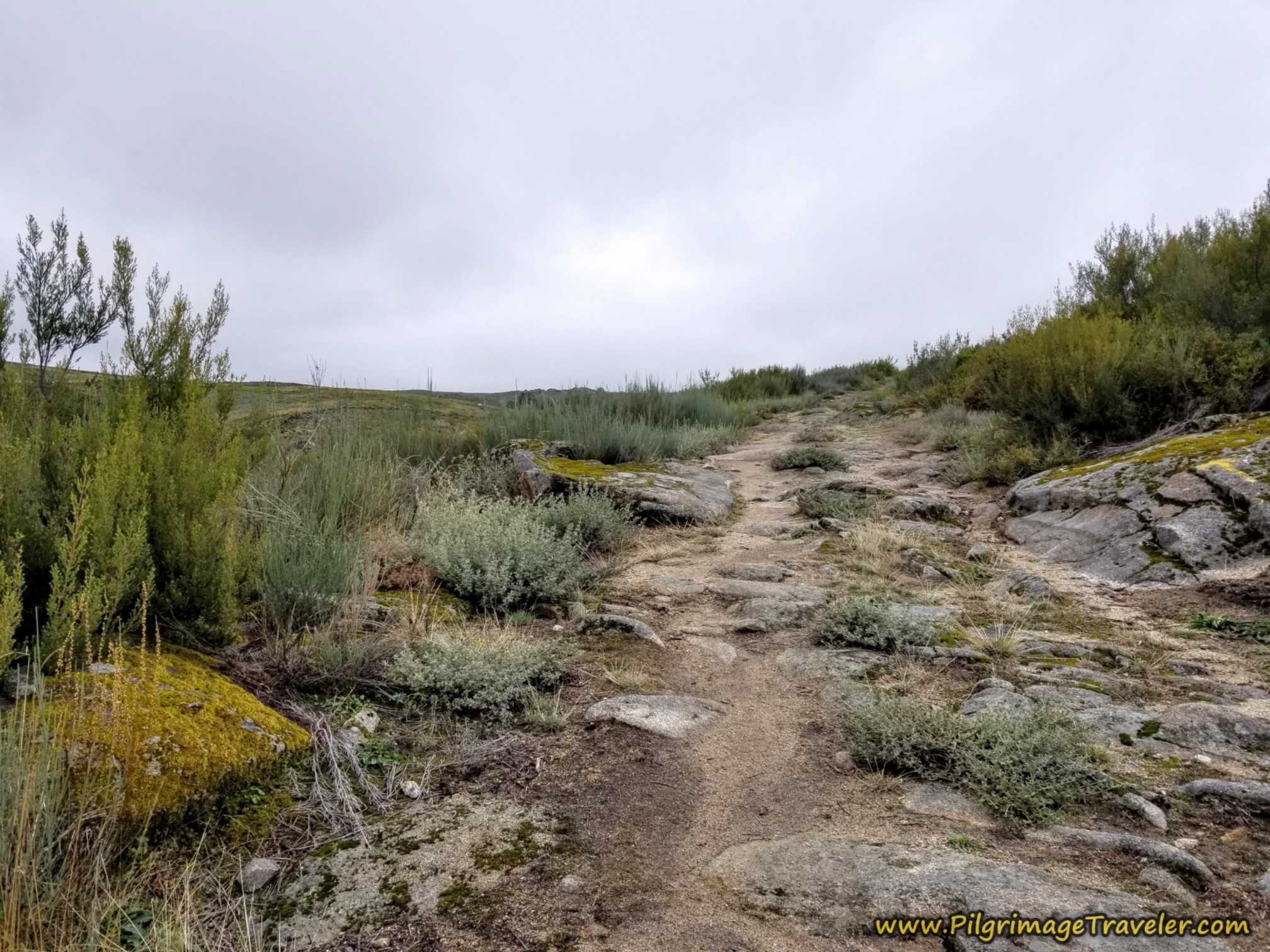 Continuing on the Climb on the Camino Sanabrés from Lubián to A Gudiña