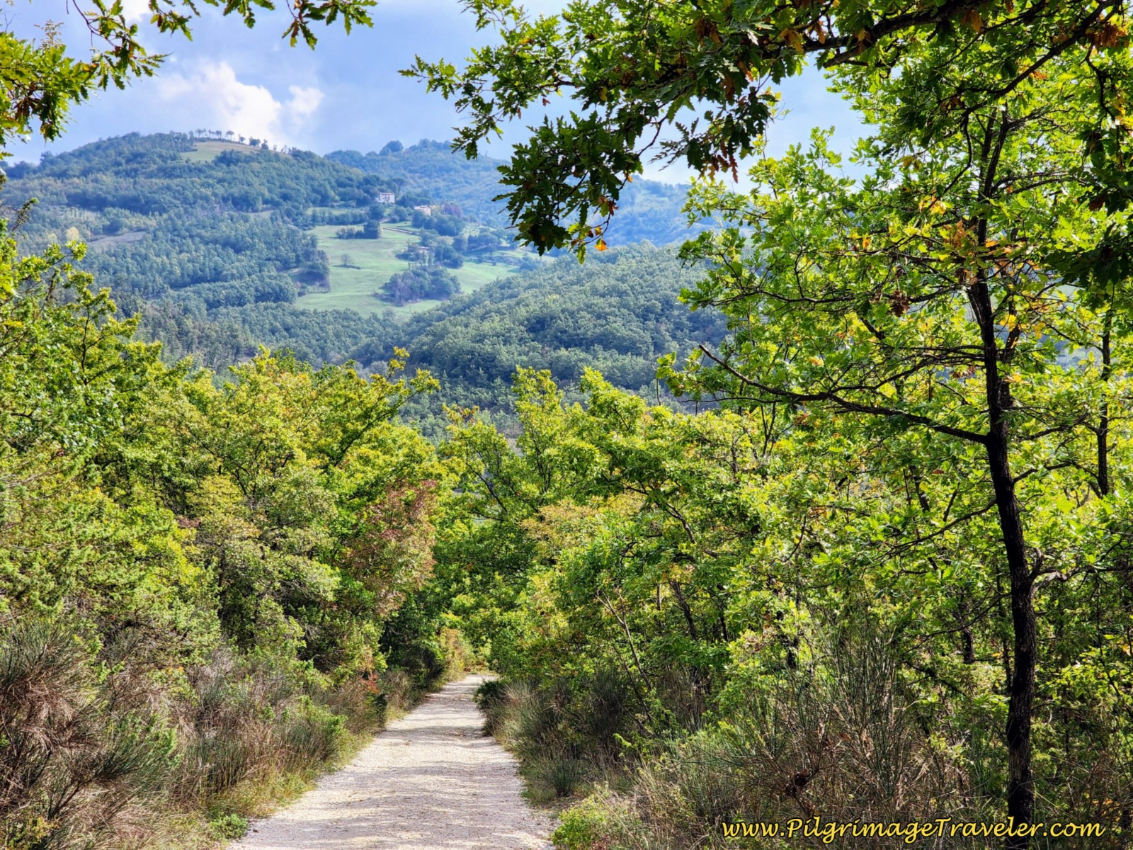 Way of St. Francis: Day Eight, Gubbio to Biscina, 21.9 Kilometers (13.61 Miles)