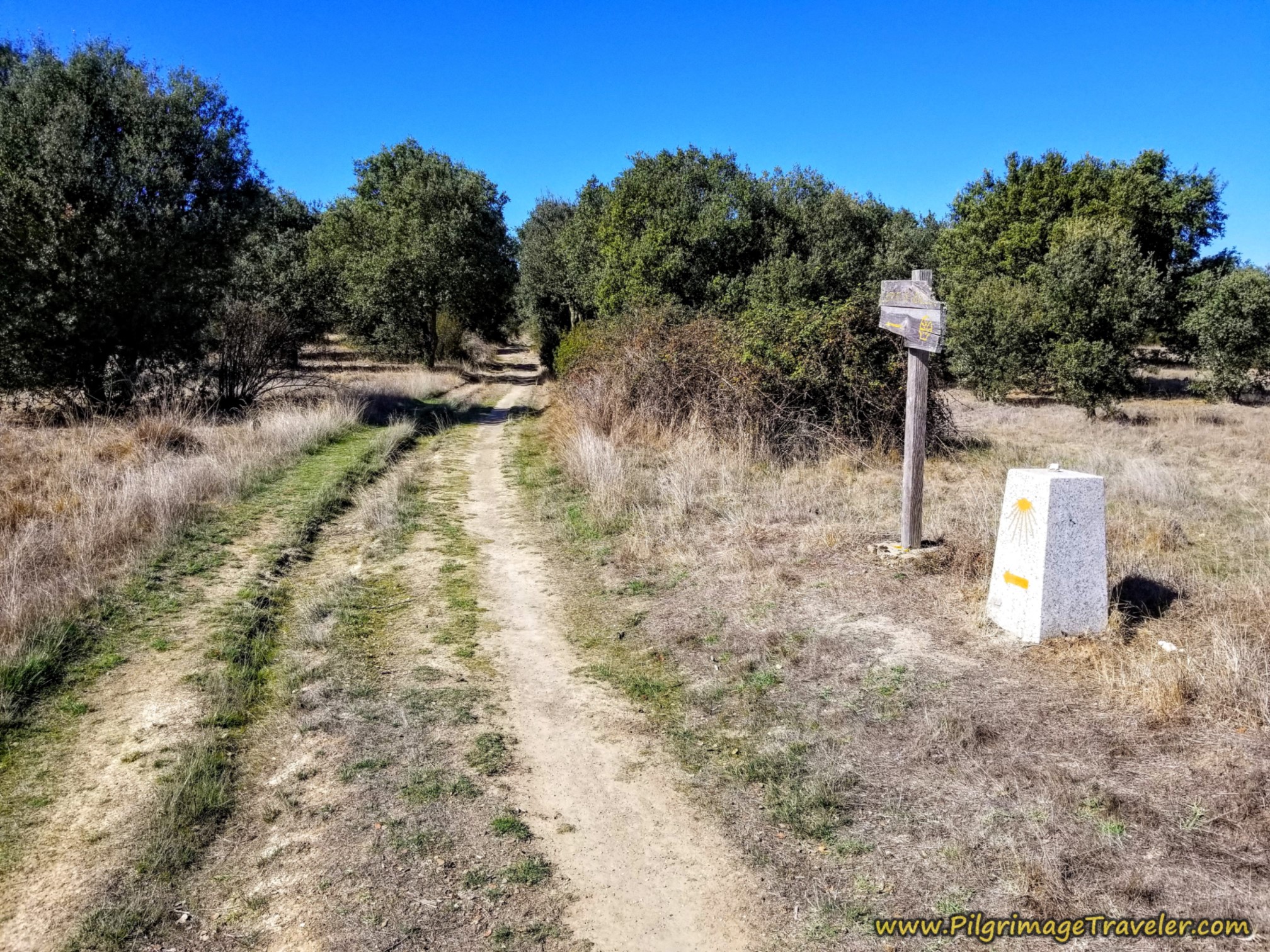 Country Lane Waymarking on the Camino Sanabrés from Santa Marta de Tera to Rionegro del Puente