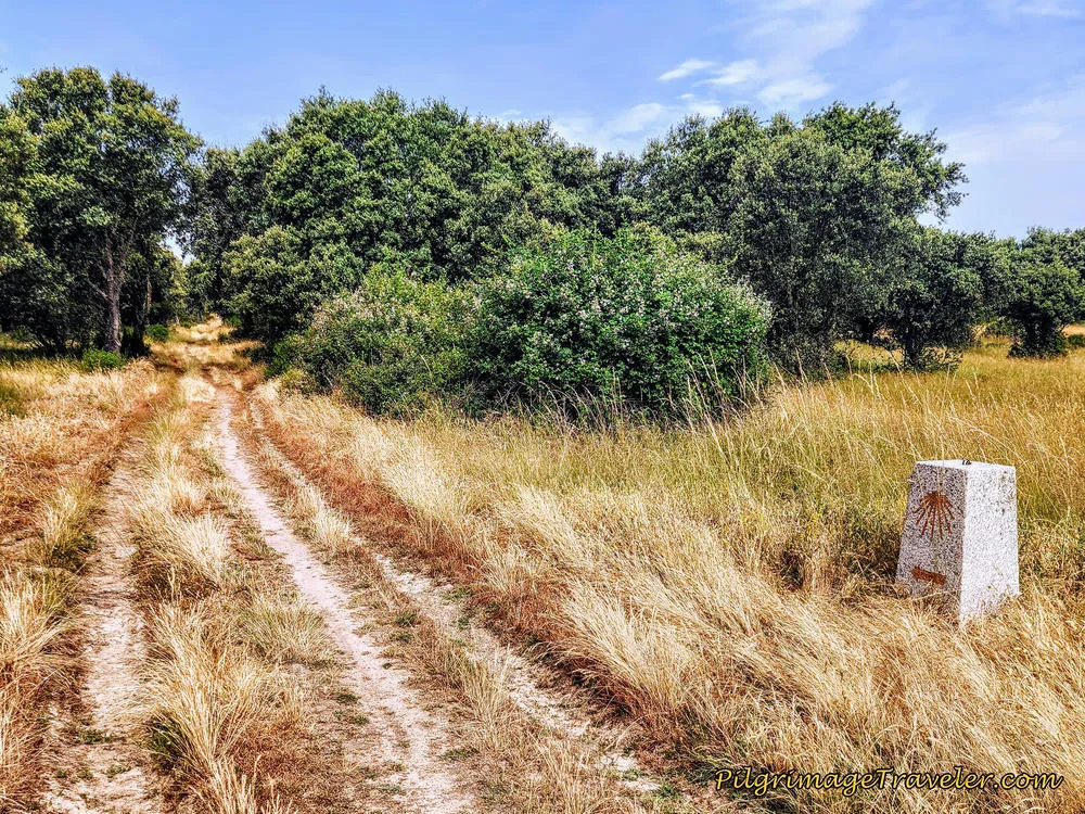 Country Lane Waymarking