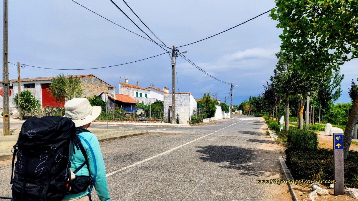 Entering Azinhaga on Day Four, Camino Portugués