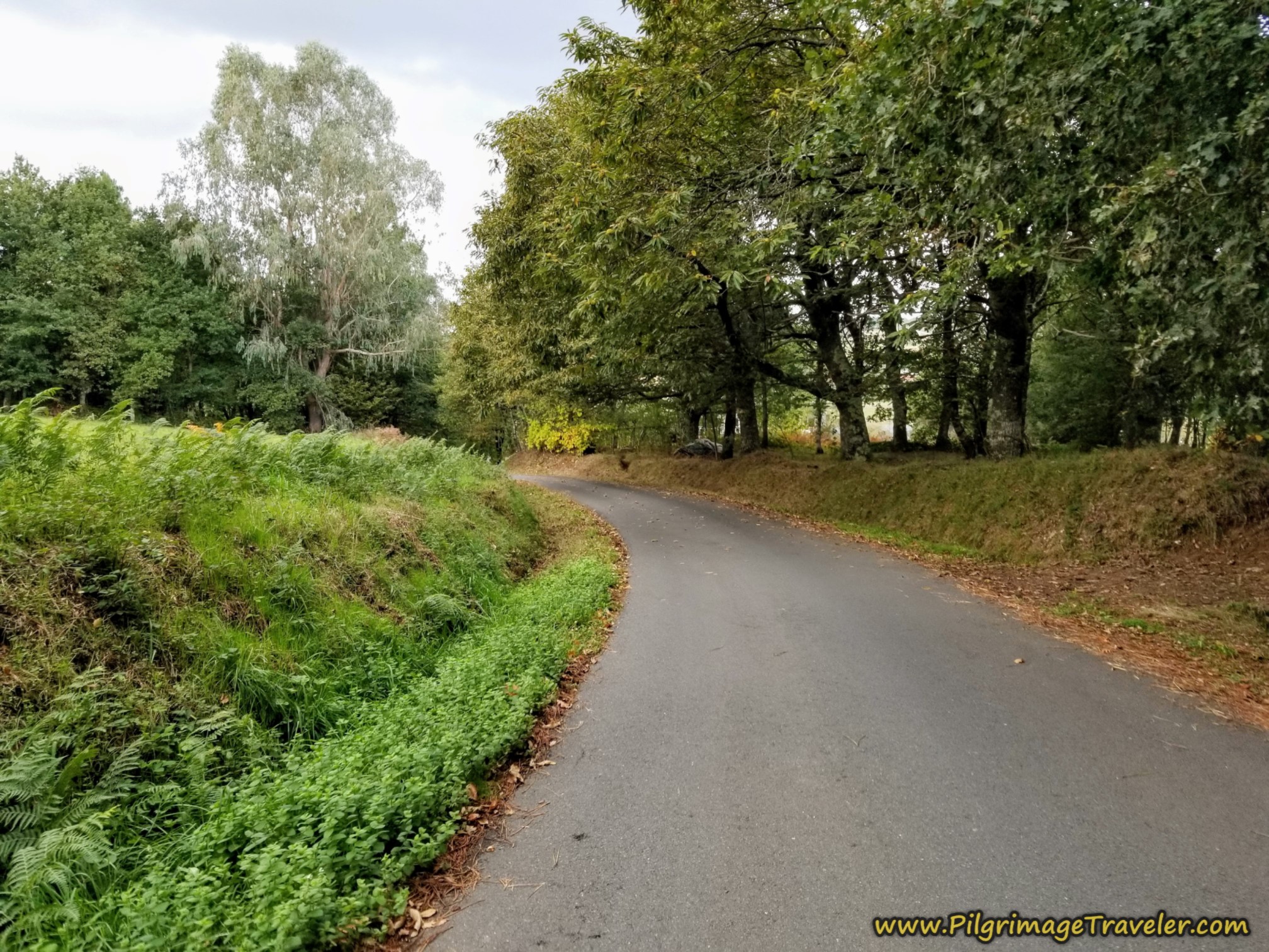 Final Stroll Toward Estación de Lalín
