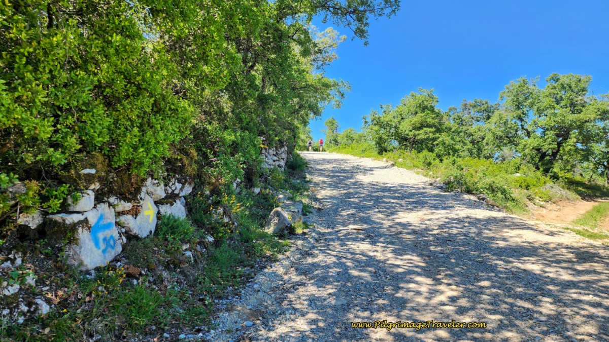 Final Climb on Gravel Lane