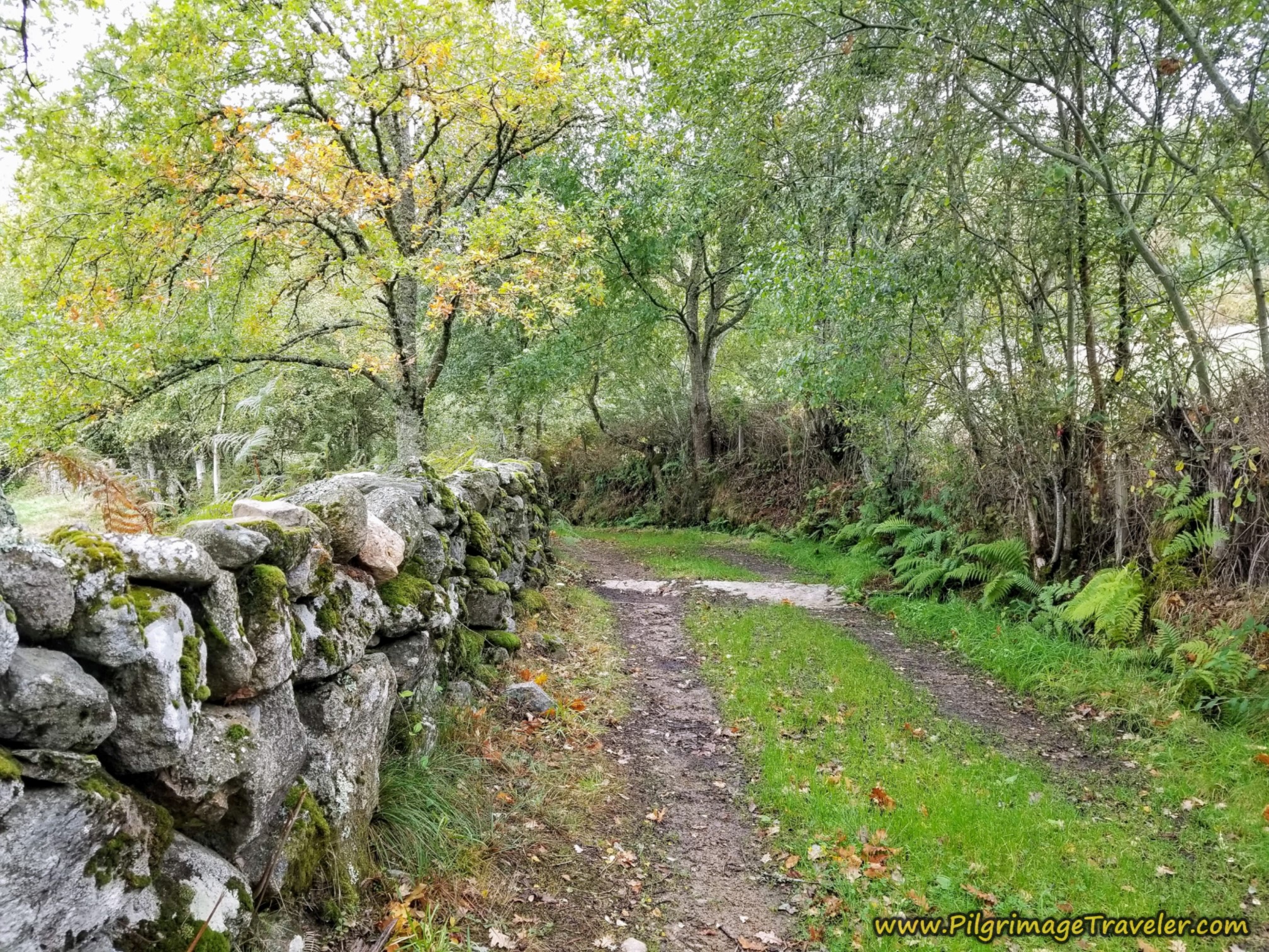 HIgh-Walled Road, Camino Sanabrés,  A Laza to Vilar de Barrio