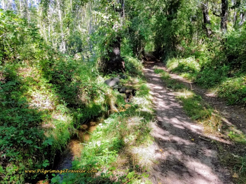 Path Joins the Río Bernesga