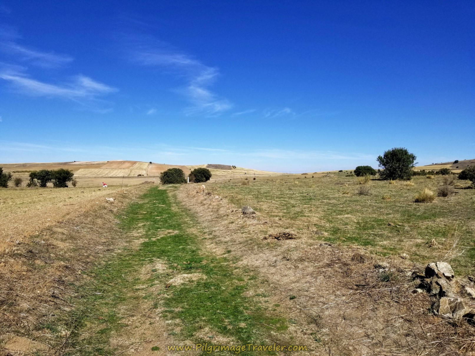 Open Road Ahead Open Road Ahead