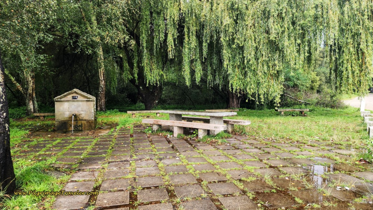 Picnic Area and Fountain Under Willow Tree Picnic Area and Fountain Under Willow Tree