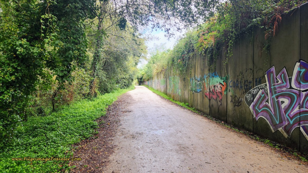 Nature Area Walk by Railroad Track Nature Area Walk by Railroad Track