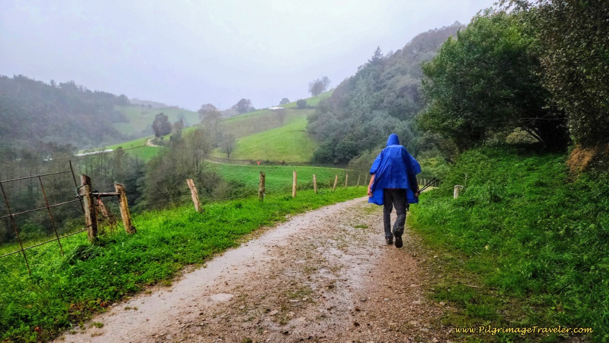 The Lane After La Mortera