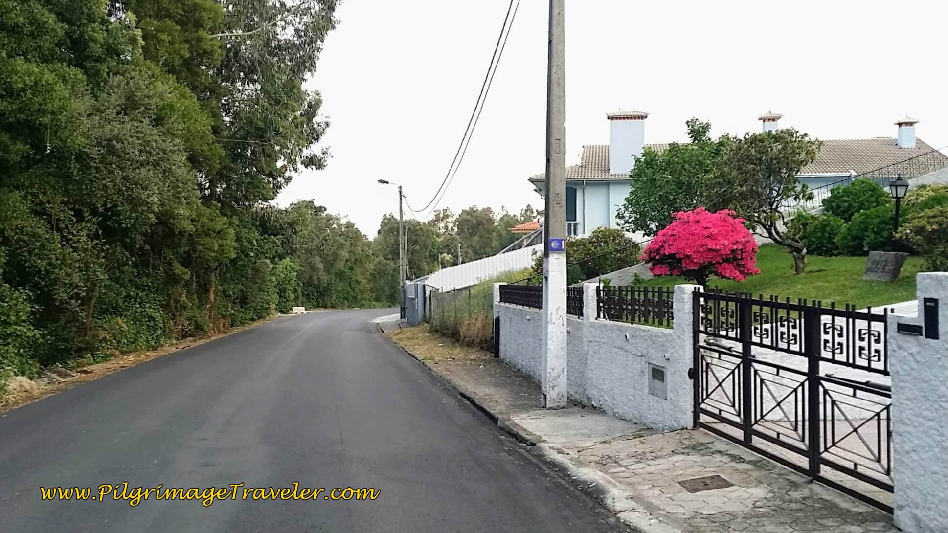 Along the Rua Ramalhal in São João de Madeira on day fourteen of the Camino Portugués
