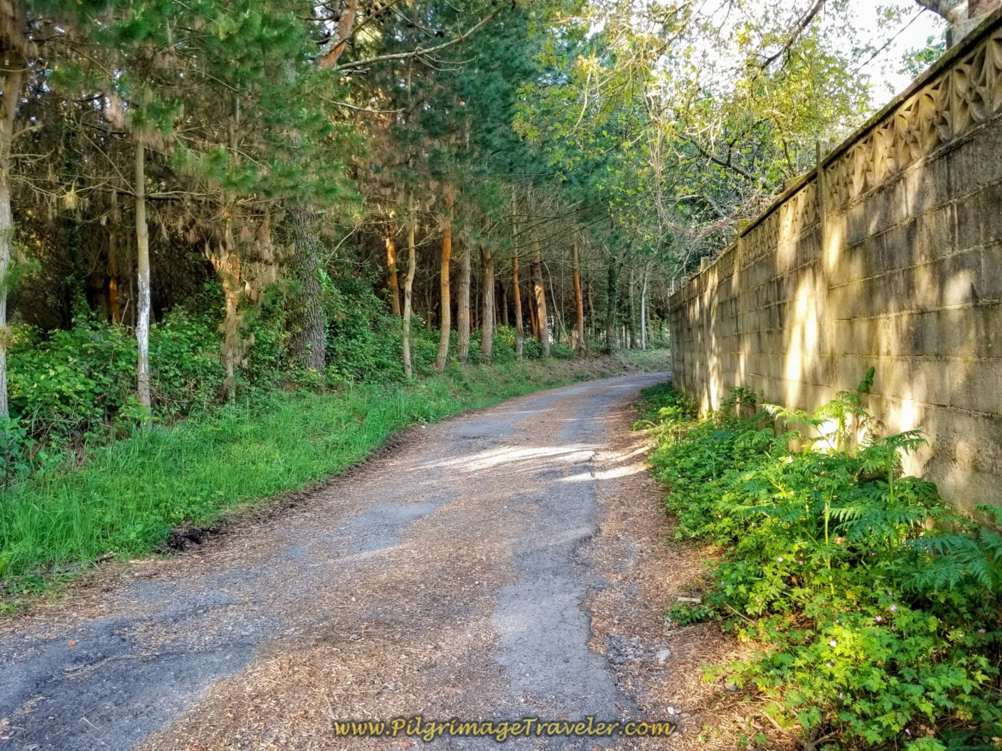 Country Lane Through Place Called Barrio on day six of the Camino Inglés