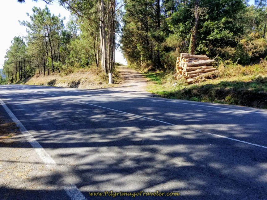 Cross Over the DP-3404 and Continue on Gravel Road