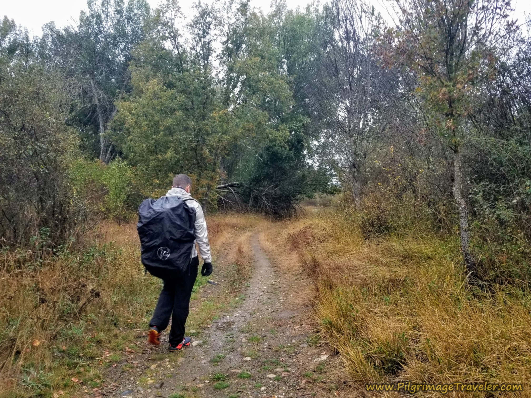 Miguel Walking Along the Lane