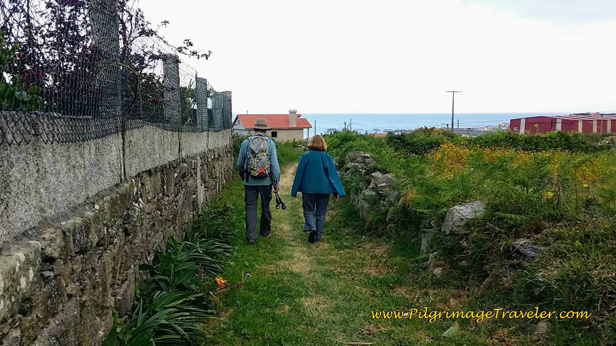 Shortcut to Lugar o Porto on day twenty, Camino Portugués
