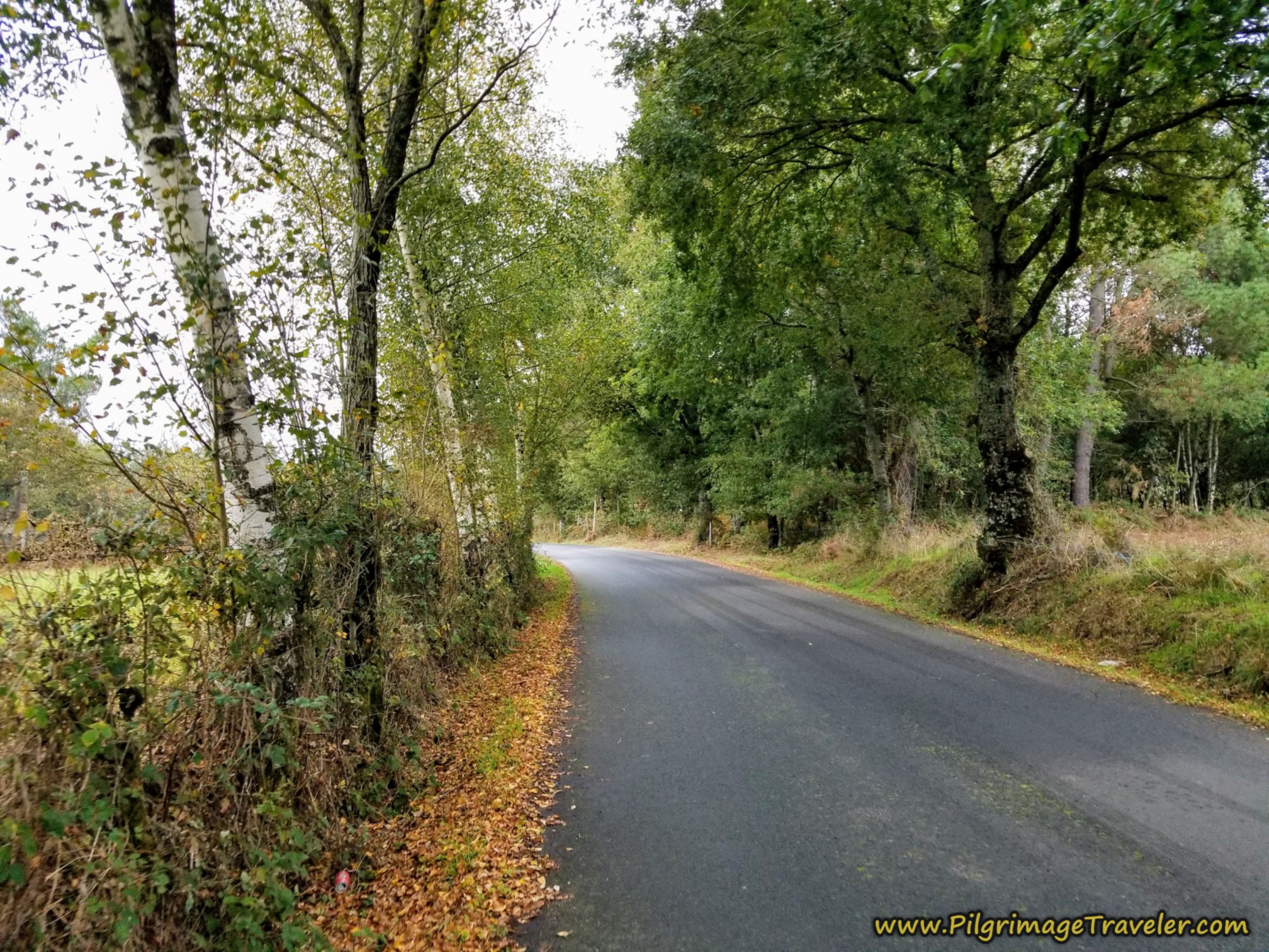 Quiet Secondary Road Quiet Secondary Road