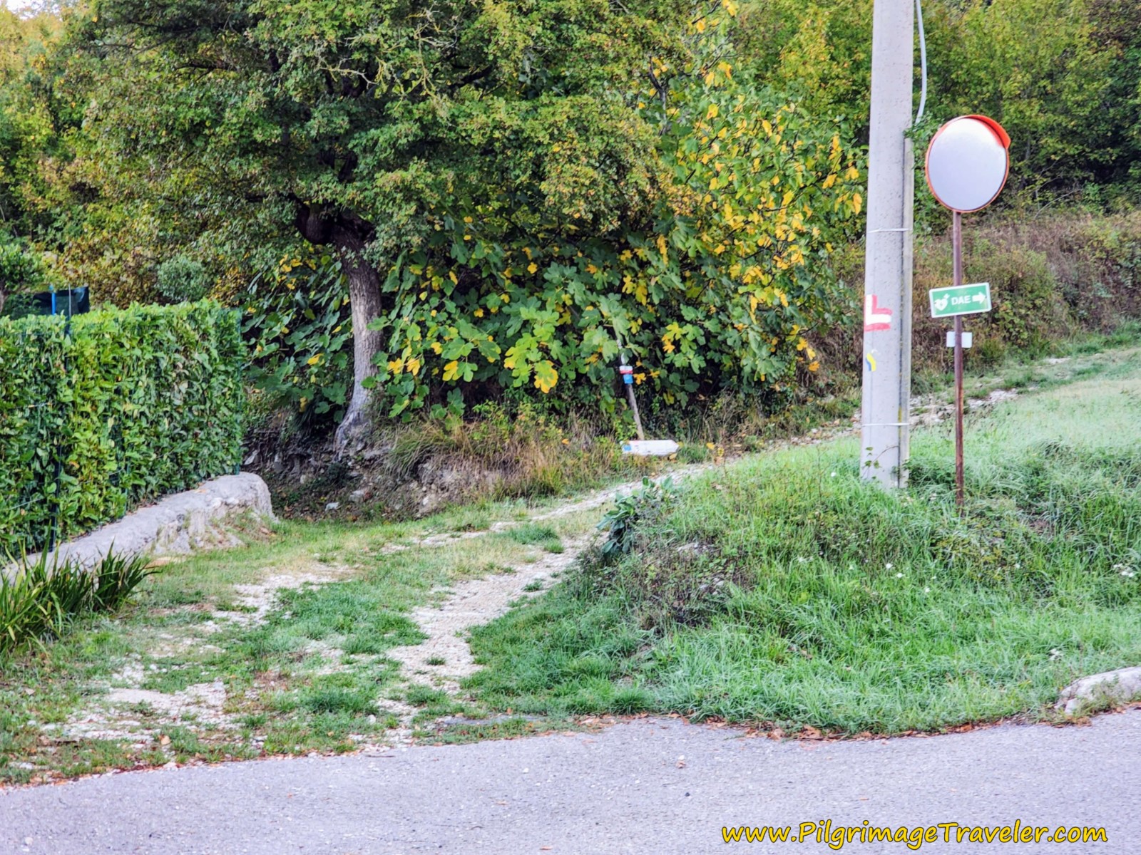 Forest Walk Begins Here  on the Way of St Francis Pieve Santo Stefano to Montagna