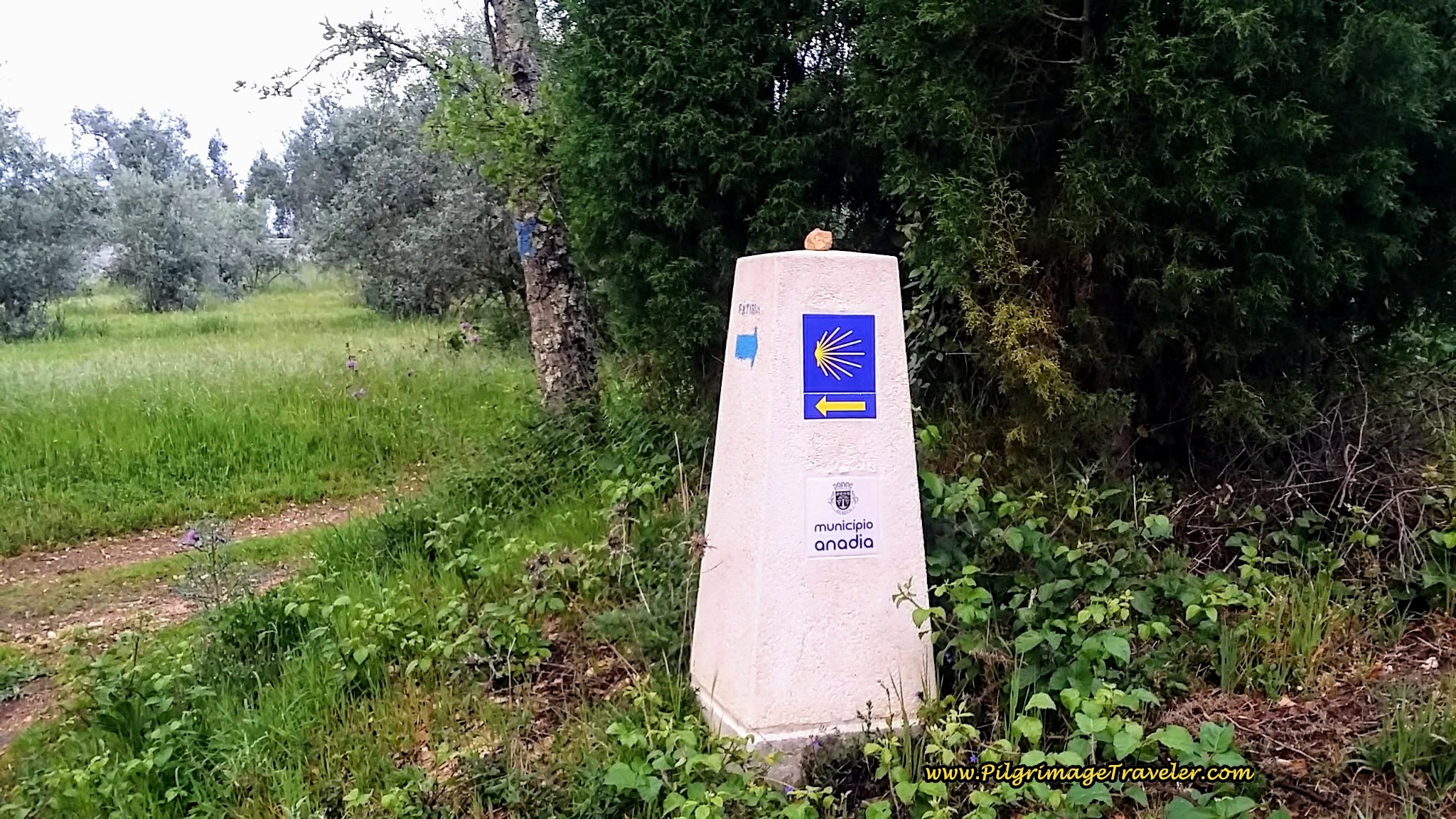 Turn Left Again Towards Alpalhão in the Municipality of Anadia
