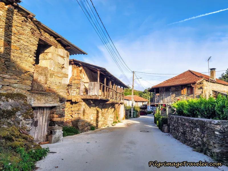 Walking Through Soutelo Verde