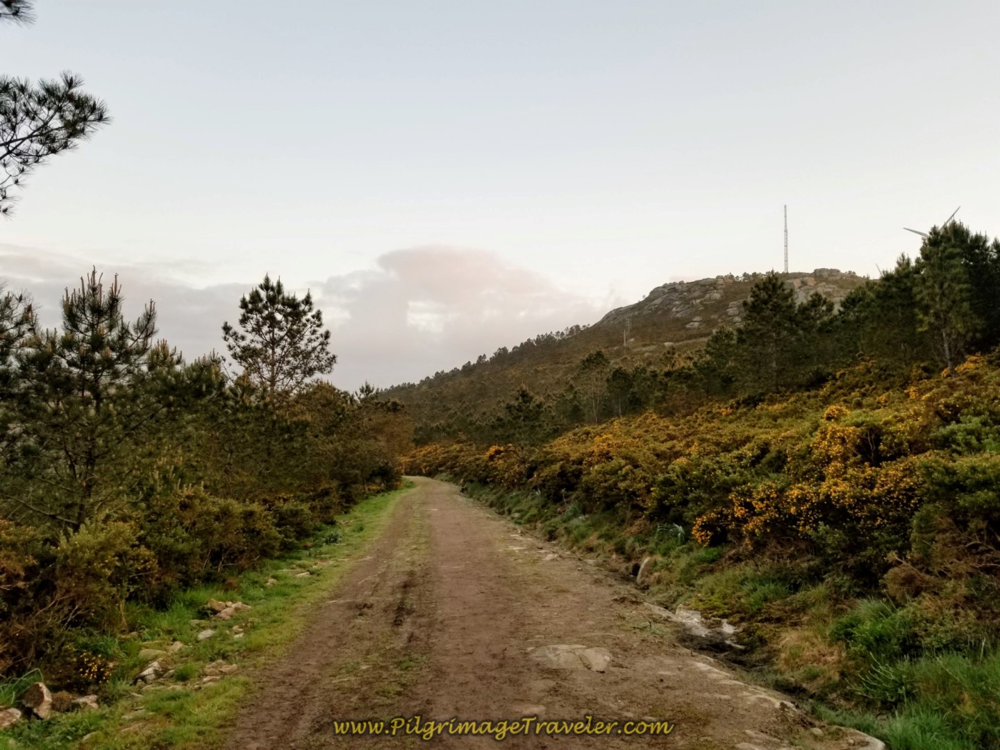 Camino Follows the Ridge Line
