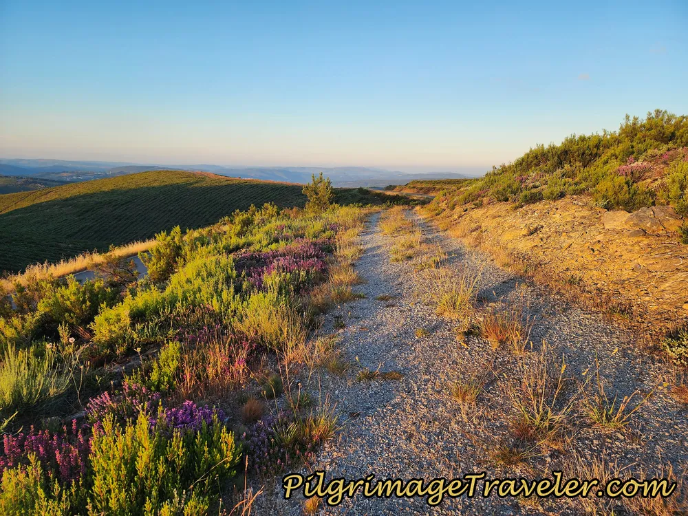 High Road to Campobecerros Along the Camino Sanabrés