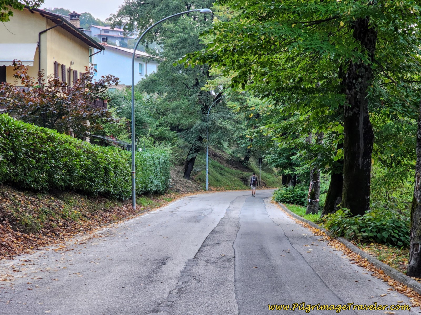 Winding Road Through Outskirts of Pietralunga Winding Road Through Outskirts of Pietralunga