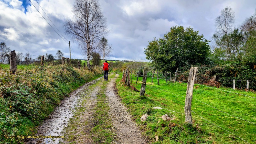 The Lane on the Way to Berducedo