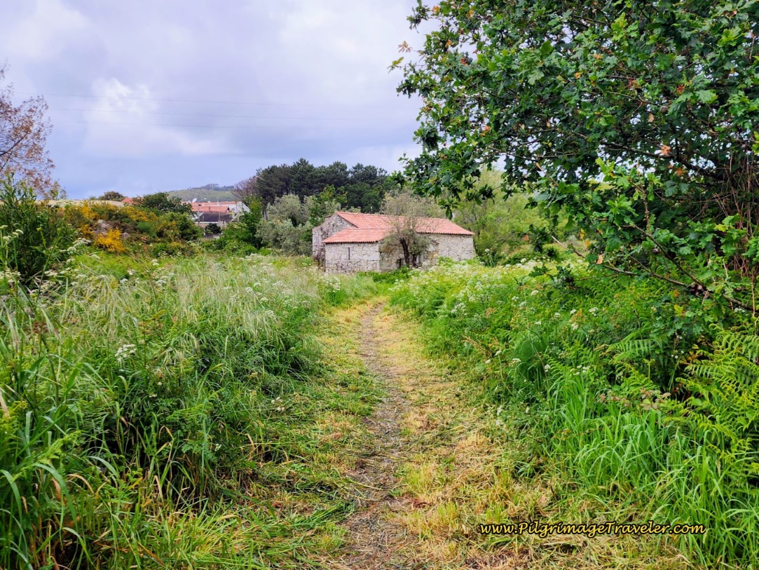 Moinho da Ponte da Torre, Âncora Moinho da Ponte da Torre, Âncora