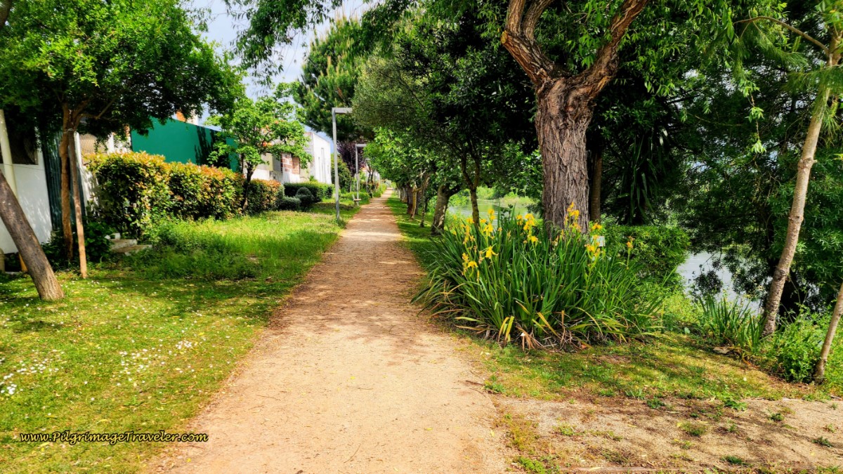 Path along the Almonda River