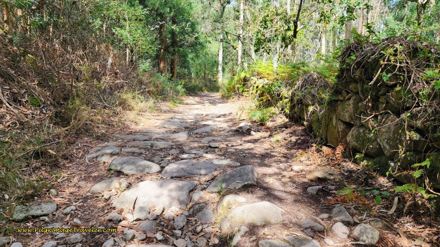 Along the Travessa do Caminho de Santiago