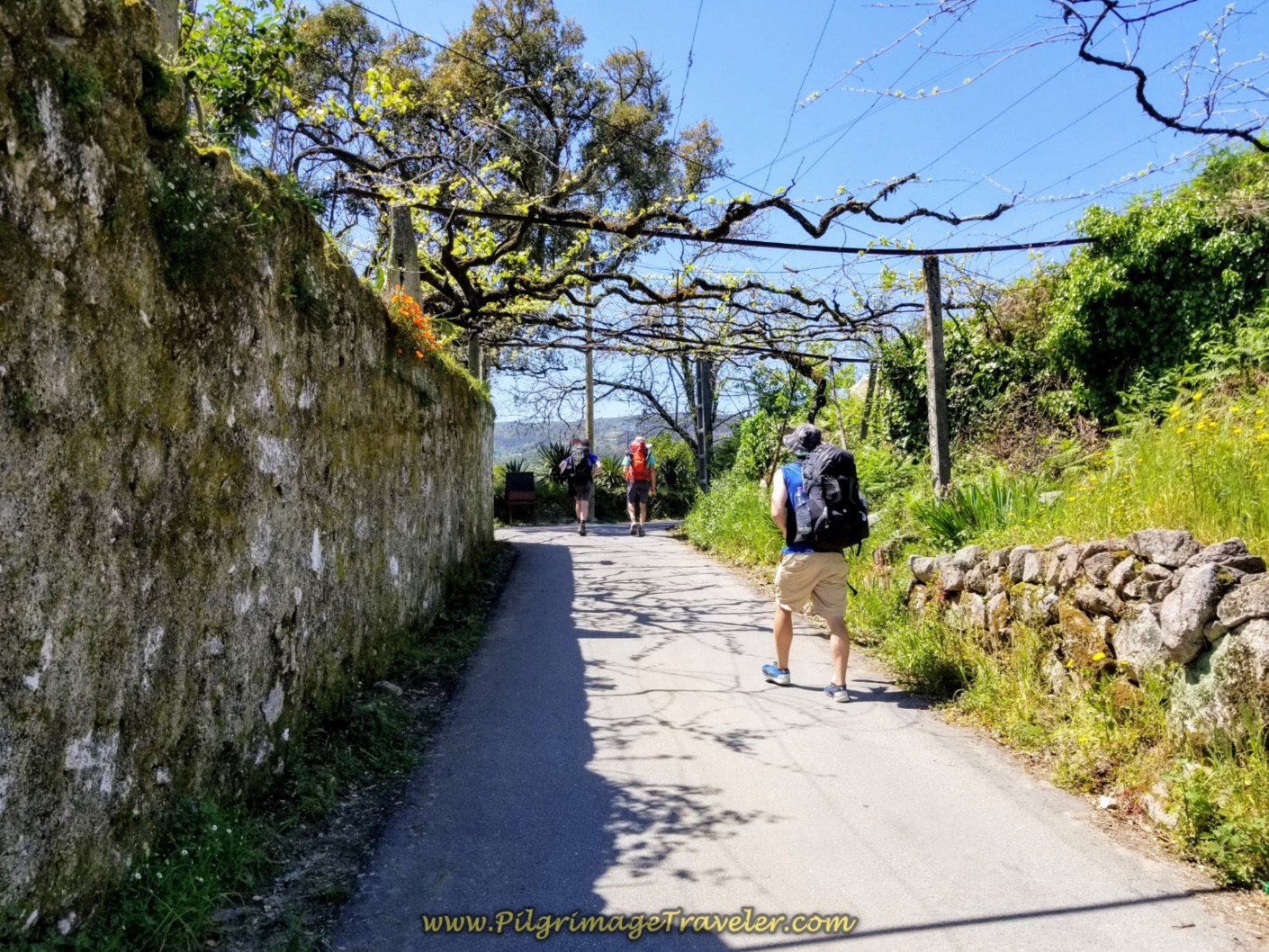 Walking Through the Town of Vitorino de Piães on day seventeen on the Central Route of the Portuguese Camino