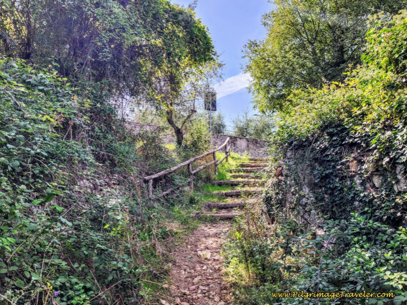 Way of St. Francis: Day Twelve, Spello to Trevi - Climb Up Set of Stairs to Join the Viale Augusto Ciuffelli
