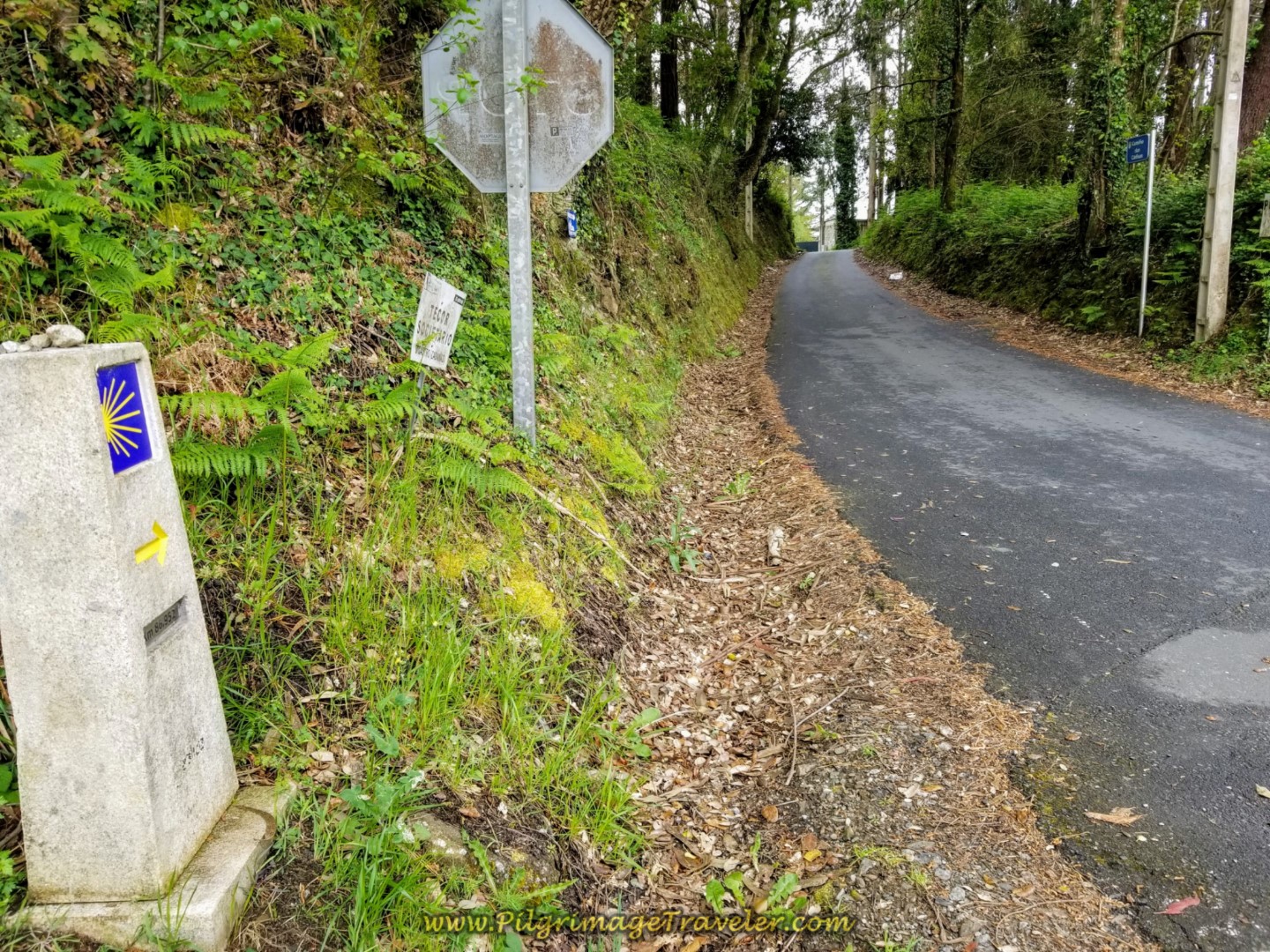 80.952 Kilometer Marker on the Camiño do Cadivas on day two of the English Way 80.952 Kilometer Marker on the Camiño do Cadivas on day two of the English Way