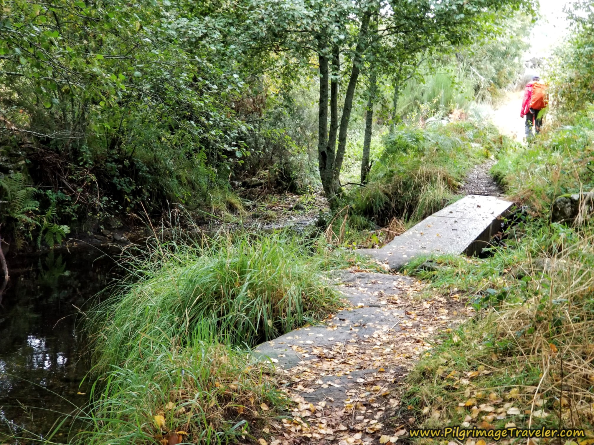 Drop to Second Drainage