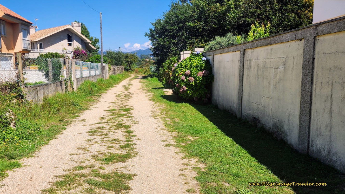 Dirt Lane Once Again Dirt Lane Once Again