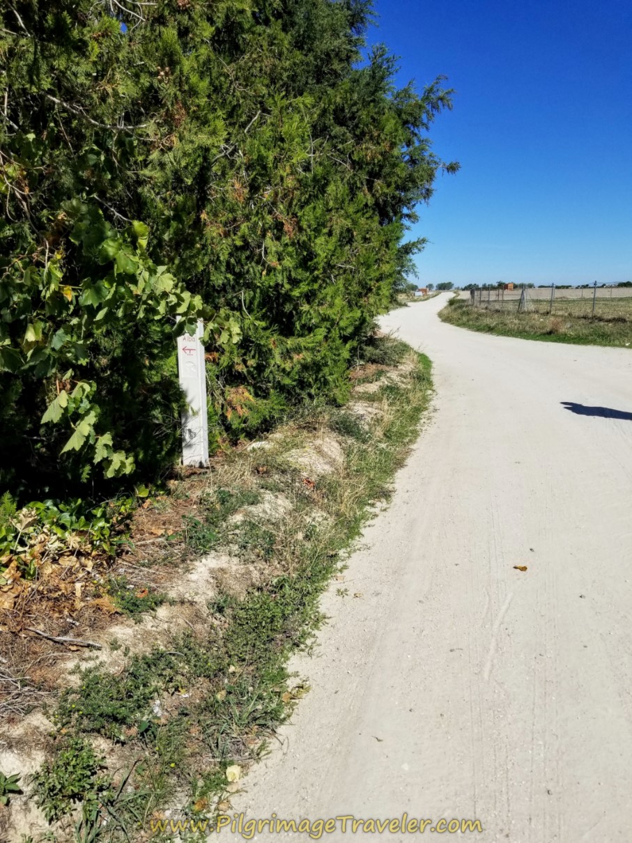 Left at Clump of Trees Onto Calle Viejo