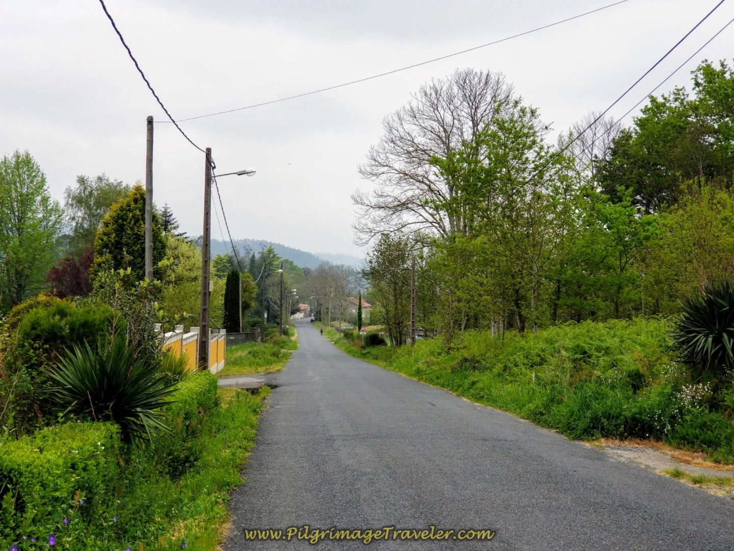 Towards the Río Tambre and The Ponte Maceira on day one of the Camino Finisterre