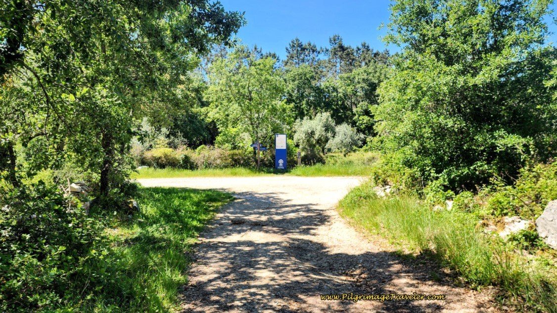 Turn Right at T-Intersection at End of This Gravel Road