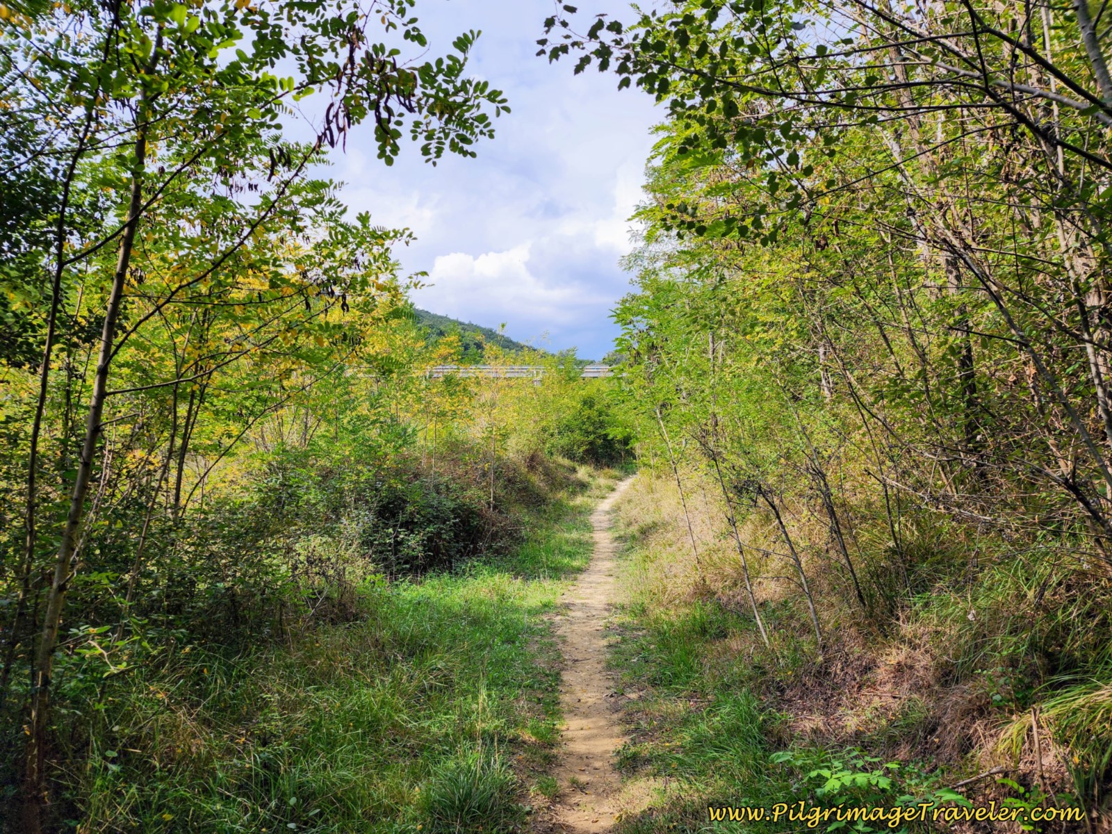 Path Becomes Single Track