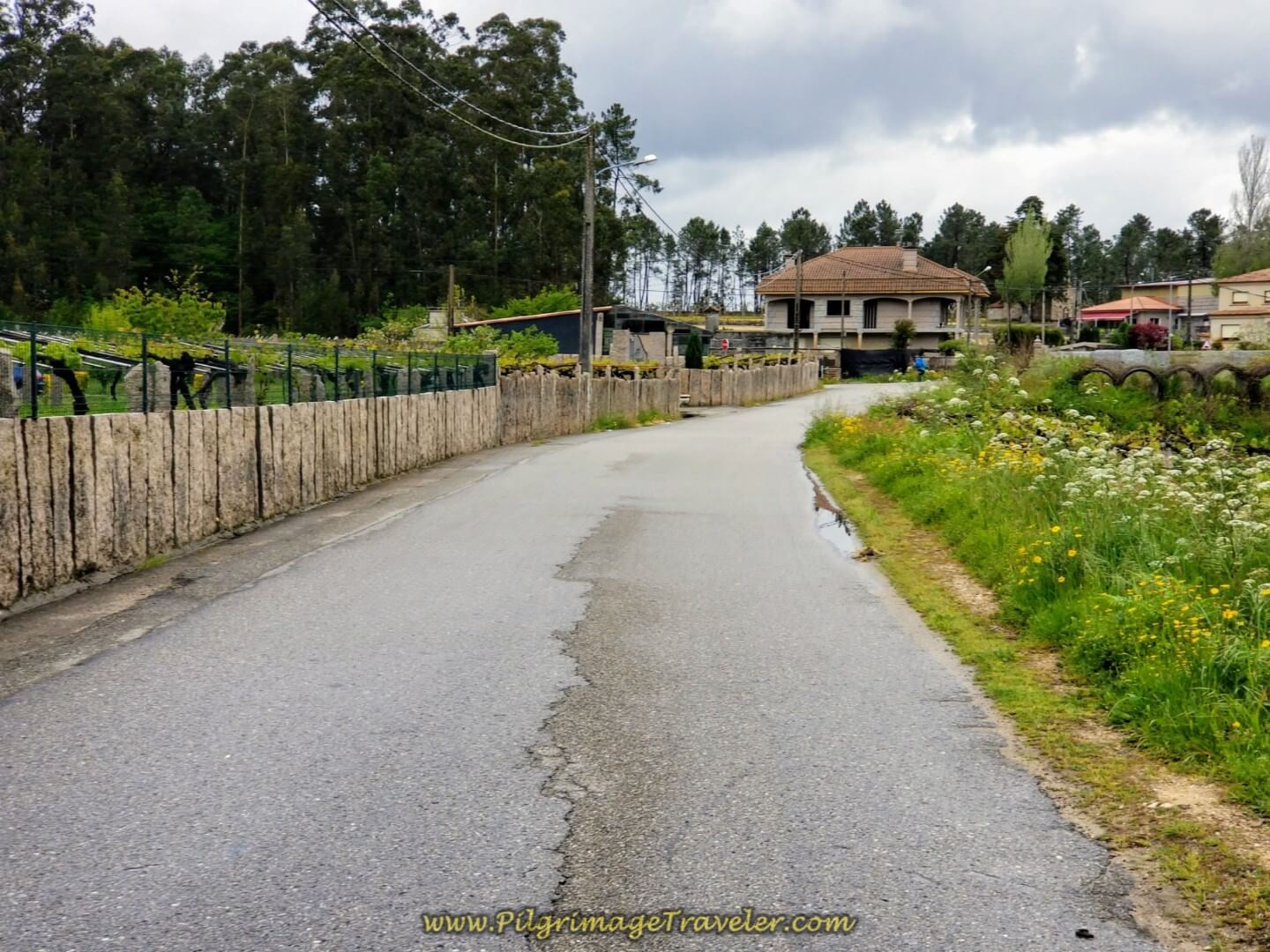 Walking Through the Town of Centeáns on day twenty on the central route of the Portuguese Camino